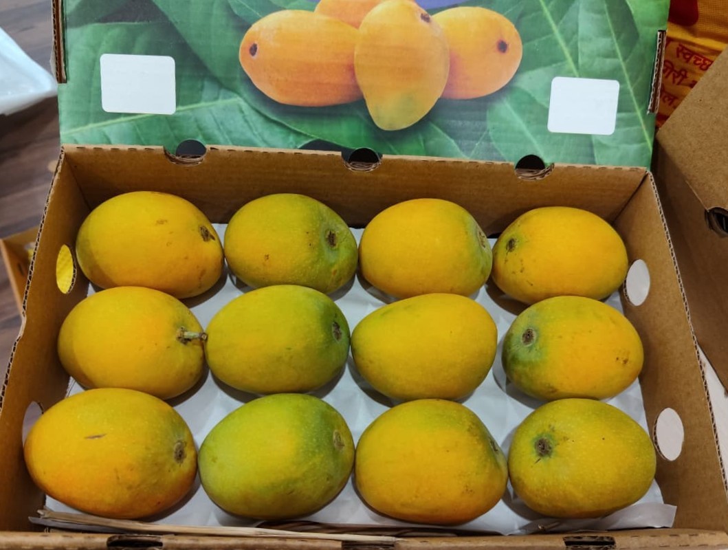 BFV Devgad Alphonso (12 nos)