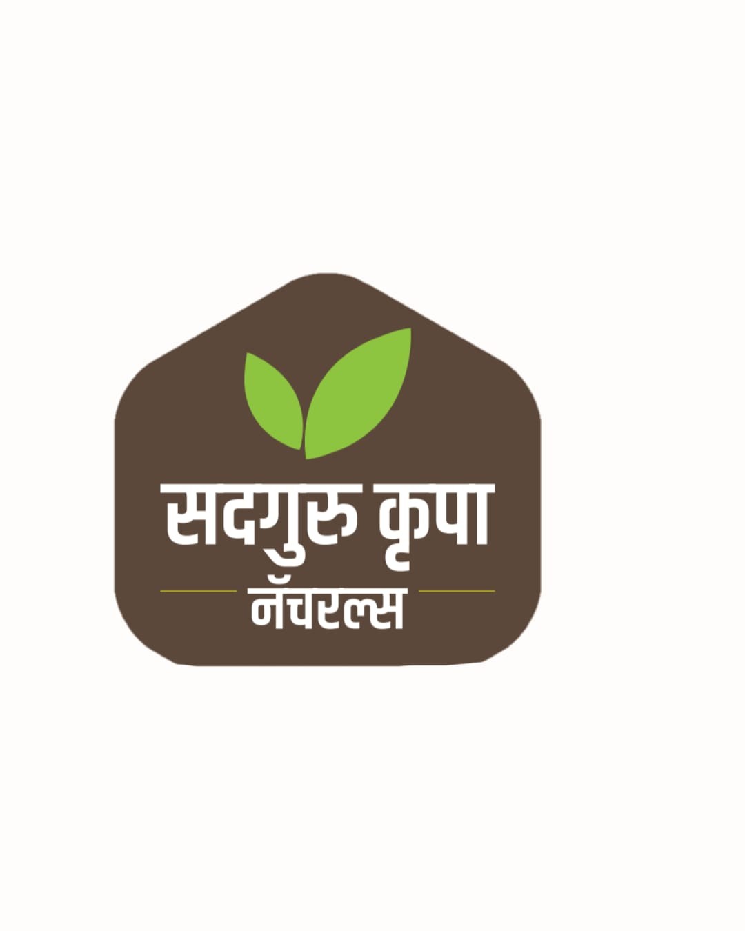 Sadguru Krupa Naturals